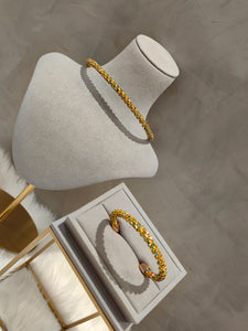 SET MS026