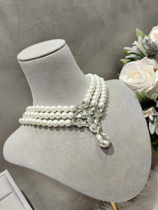 SET MS030
